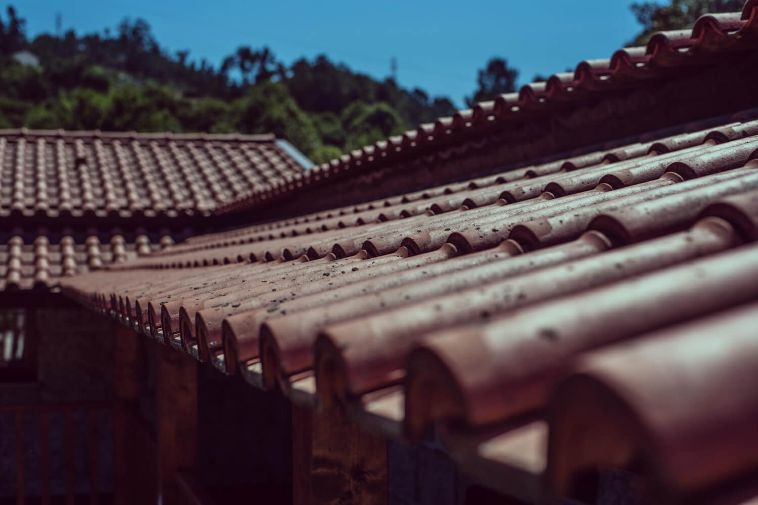 leak detection roof image