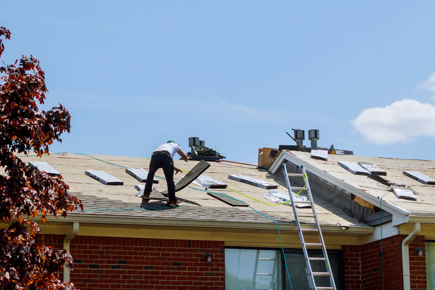 residential roof repair section image